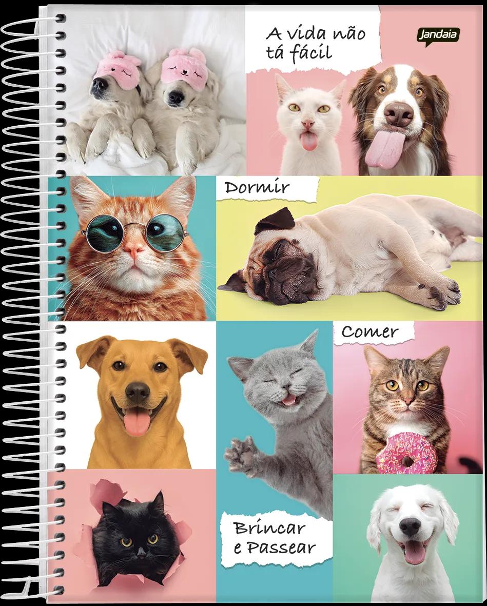 CADERNO ESPIRAL UNIVERSITÁRIO CAPA DURA 01 MATÉRIA 80 FOLHAS -  PET'S LOVE — miniatura 4