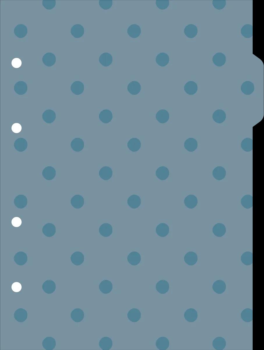 CADERNO COLLEGE CAPA DURA 80 FOLHAS ARGOLADO - DOTS E SPOTS — miniatura 3