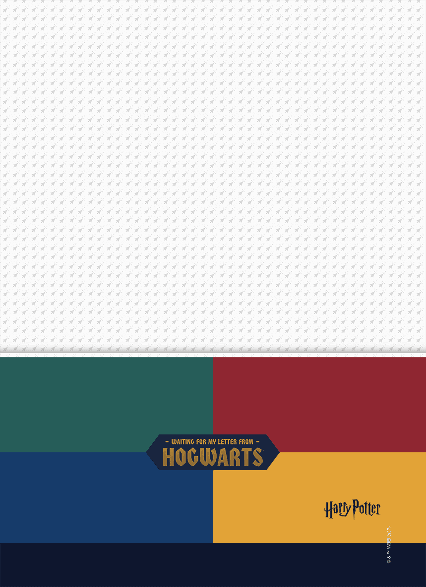 CADERNO ESPIRAL CAPA DURA 1/8 96 FOLHAS - HARRY POTTER — miniatura 5