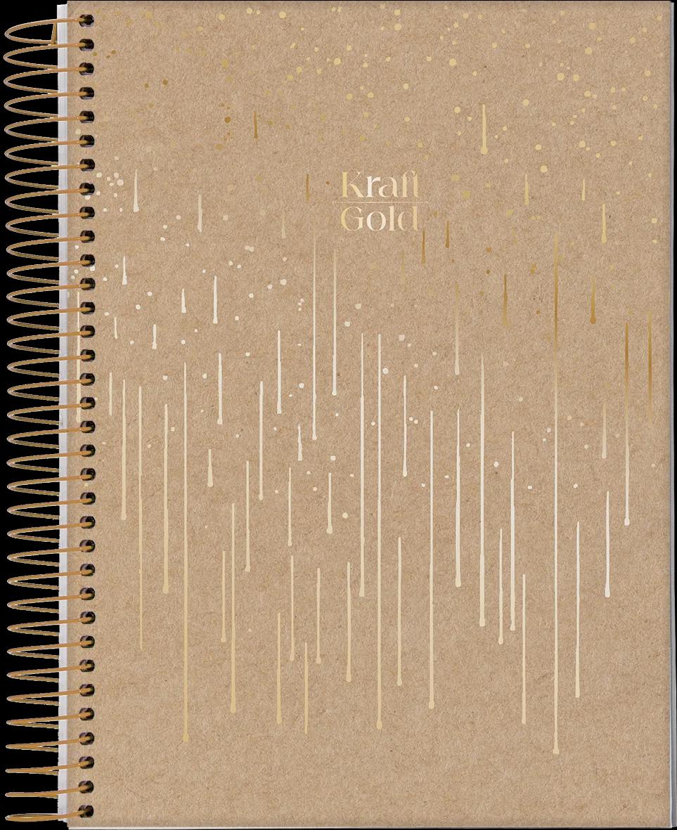 CADERNO ESPIRAL CAPA DURA 10 MATÉRIAS COLLEGE - KRAFT GOLD — miniatura 2