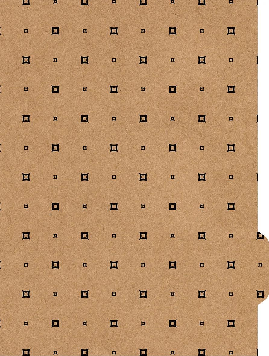 CADERNO UNIVERSITÁRIO CAPA DURA 80 FOLHAS NEO - KRAFT GOLD — miniatura 4
