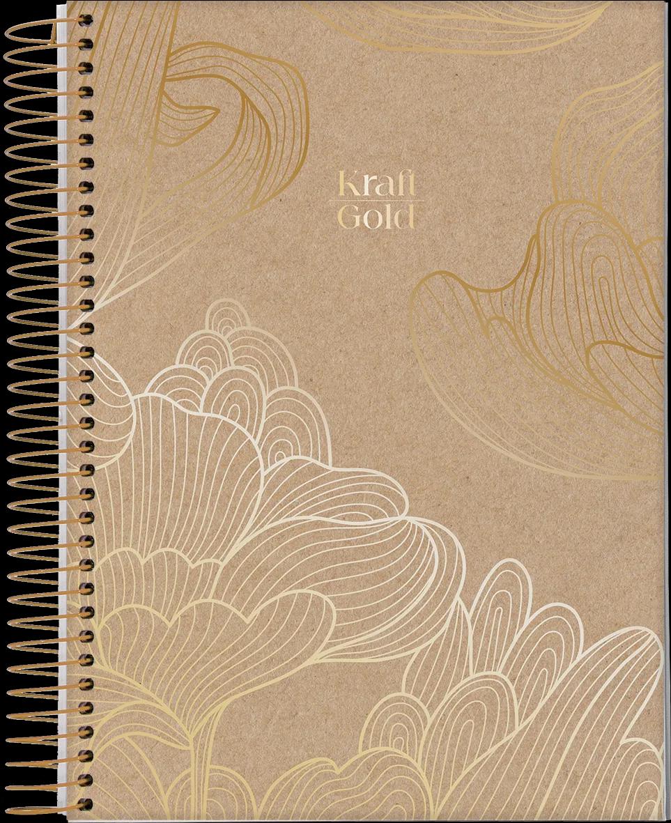 CADERNO ESPIRAL CAPA DURA 10 MATÉRIAS COLLEGE - KRAFT GOLD