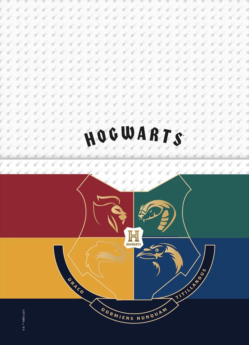 AGENDA PLANEJAMENTO ESPIRAL 175X242MM - HARRY POTTER — miniatura 5