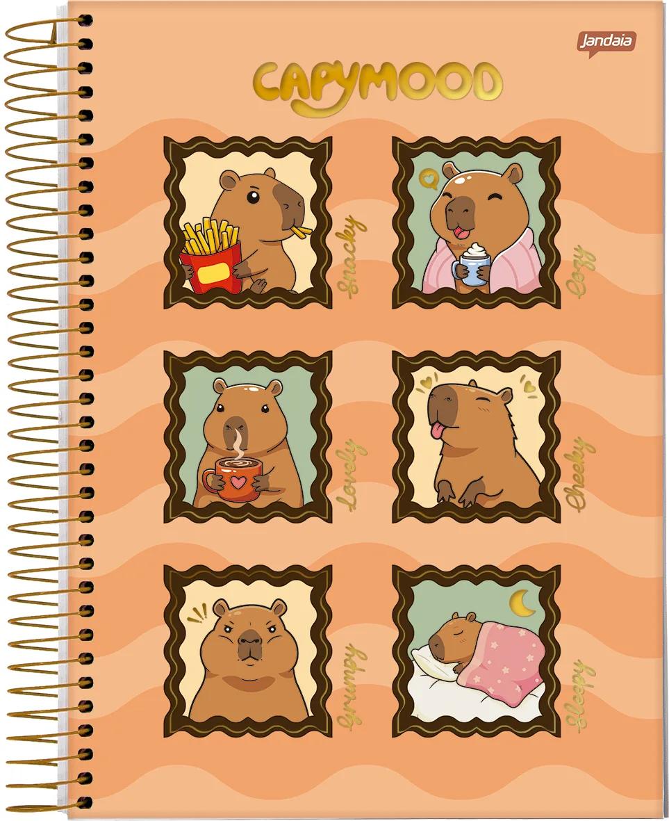 CADERNO ESPIRAL UNIVERSITÁRIO CAPA DURA 10 MATÉRIAS 160 FOLHAS - CAPYMOOD
