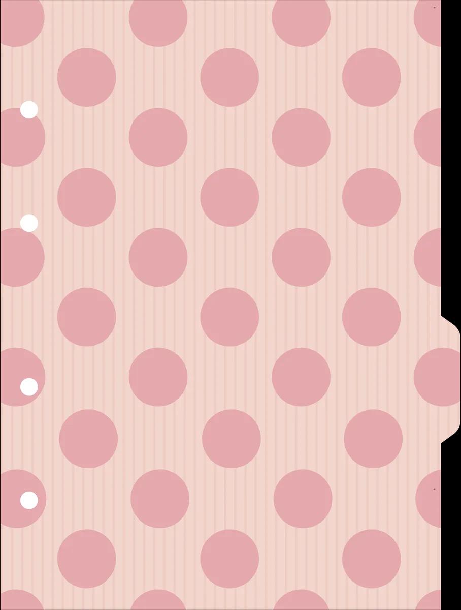 CADERNO COLLEGE CAPA DURA 80 FOLHAS ARGOLADO - DOTS E SPOTS — miniatura 5