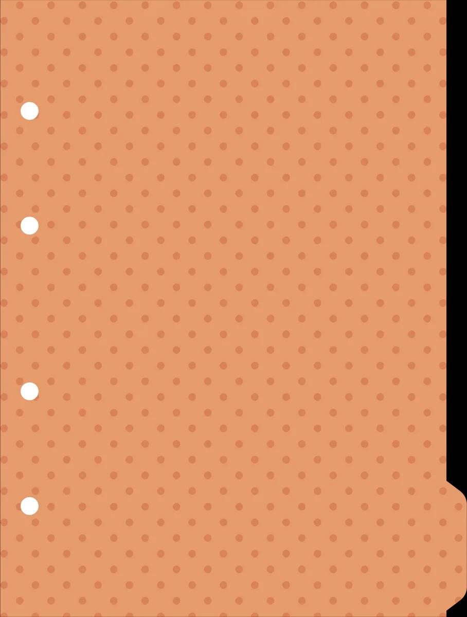 CADERNO COLLEGE CAPA DURA 80 FOLHAS ARGOLADO - DOTS E SPOTS — miniatura 7