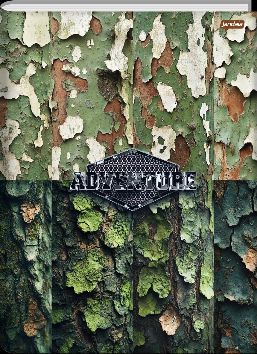 CADERNO BROCHURA UNIVERSITÁRIO CAPA DURA 80 FOLHAS - ADVENTURE — miniatura 2