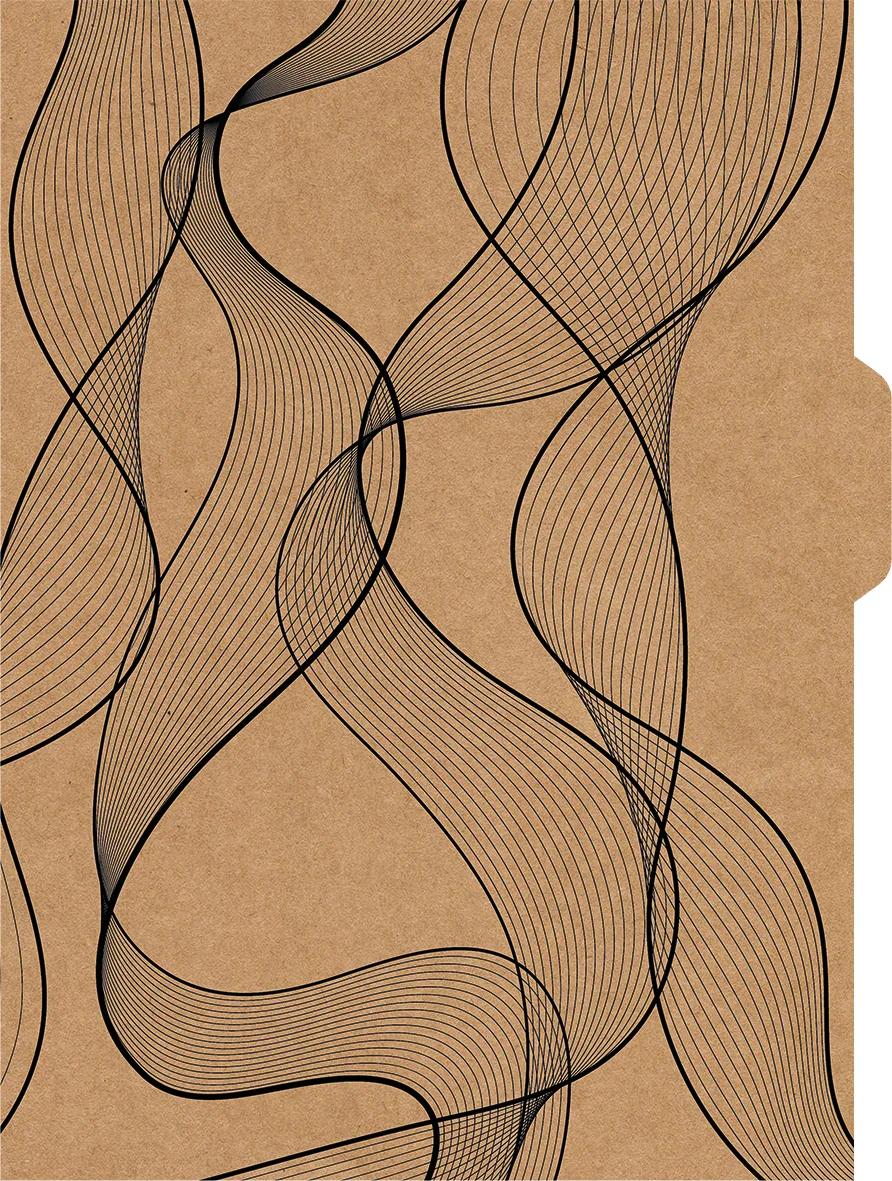 CADERNO UNIVERSITÁRIO CAPA DURA 80 FOLHAS NEO - KRAFT GOLD — miniatura 6