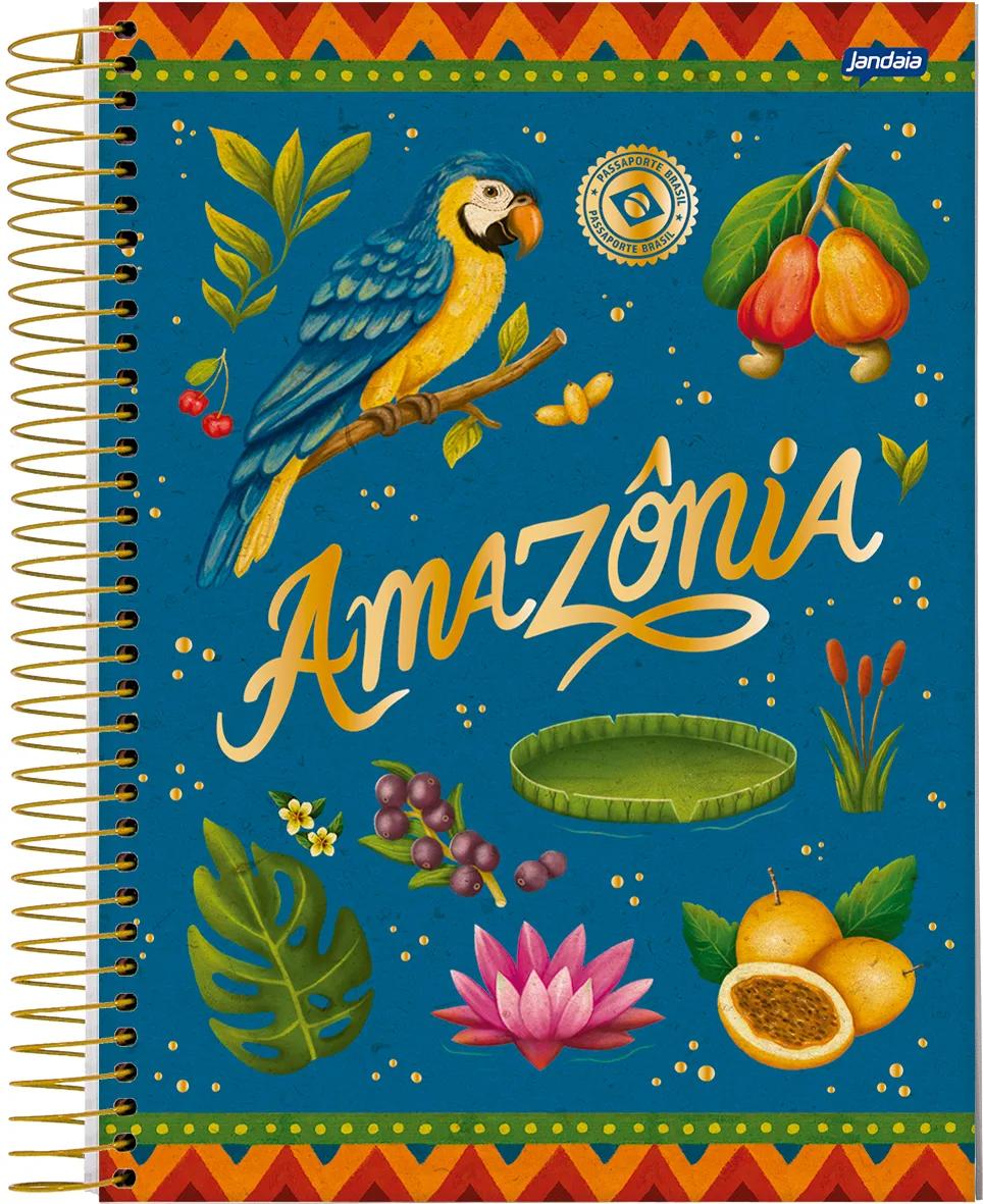 CADERNO ESPIRAL UNIVERSITÁRIO CAPA DURA 01 MATÉRIA 80 FOLHAS - PASSAPORTE BRASIL