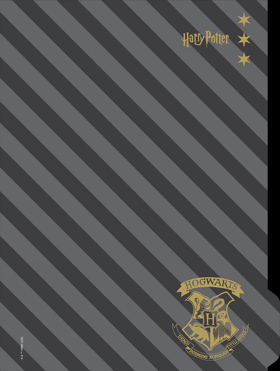 CADERNO UNIVERSITÁRIO CAPA DURA 01 MATÉRIA 80 FOLHAS NEO - HARRY POTTER — miniatura 7