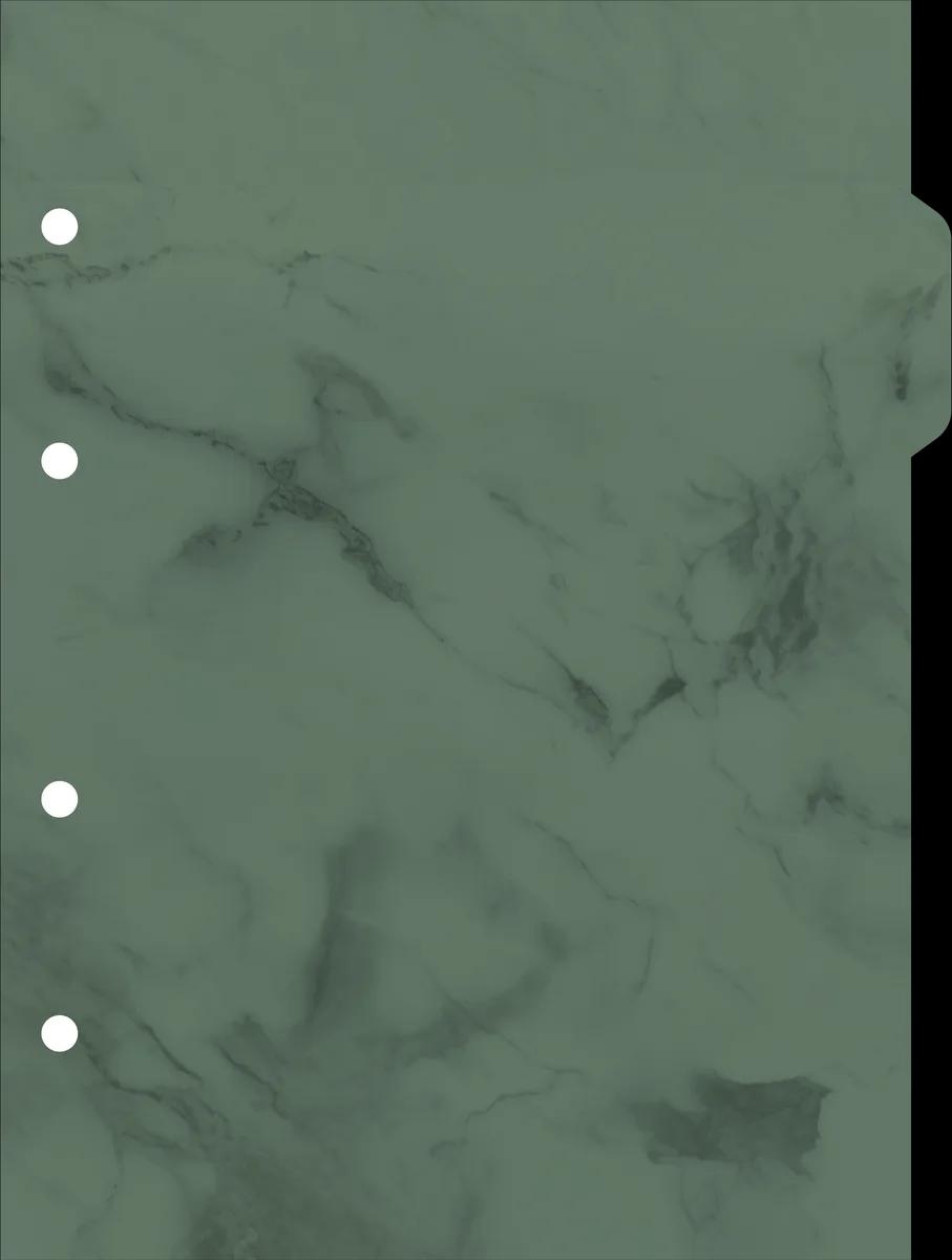CADERNO COLLEGE CAPA DURA 80 FOLHAS ARGOLADO - MARBLE — miniatura 4