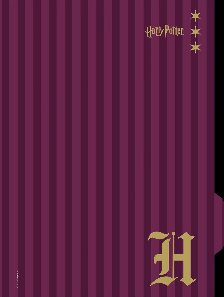 CADERNO UNIVERSITÁRIO CAPA DURA 01 MATÉRIA 80 FOLHAS NEO - HARRY POTTER — miniatura 8