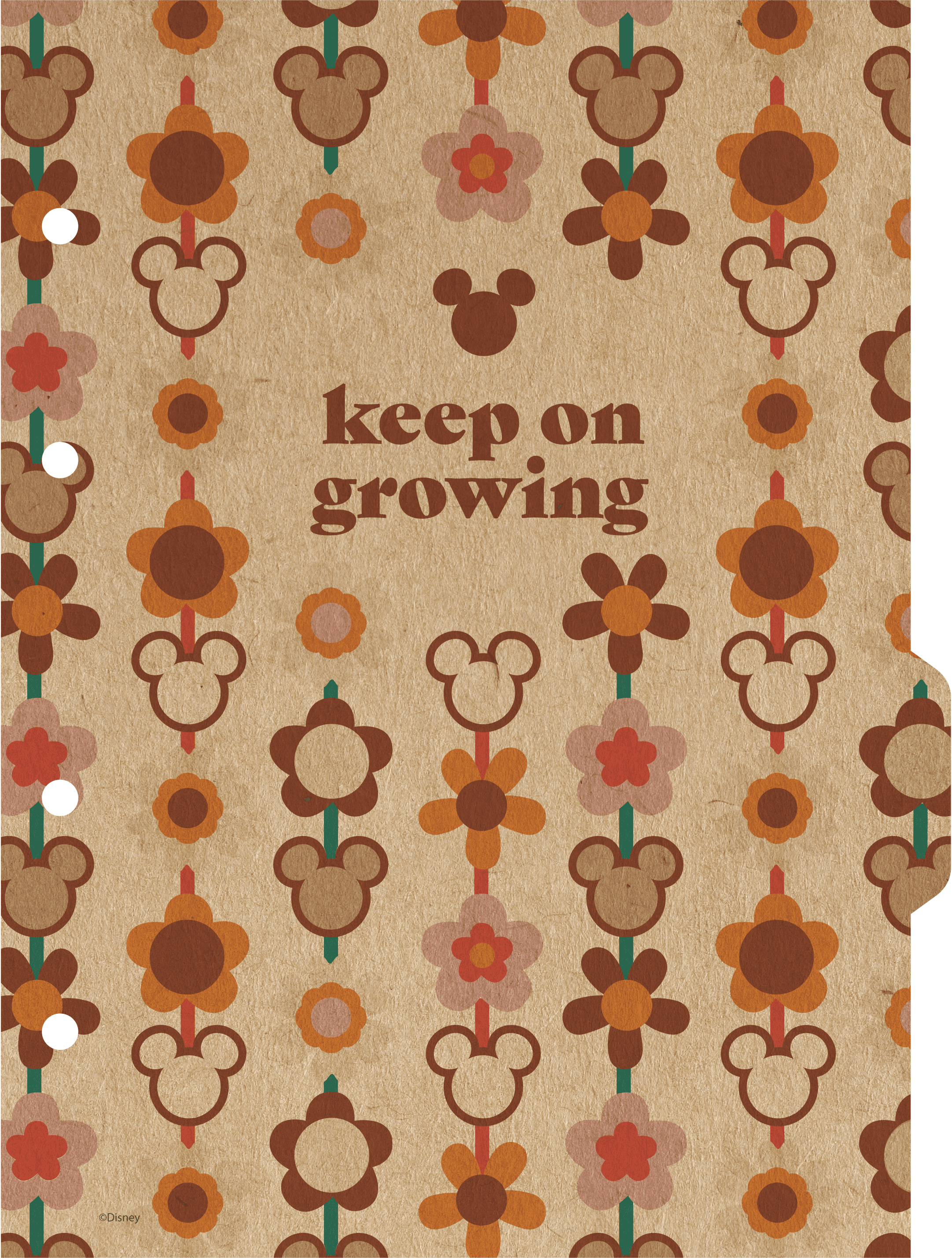 CADERNO COLLEGE CAPA DURA 80 FOLHAS ARGOLADO - MICKEY & MINNIE ARTS KRAFT — miniatura 5
