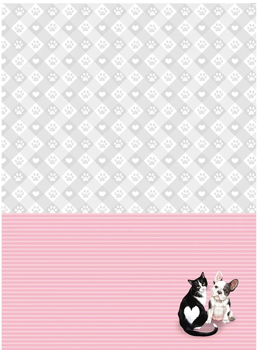 CADERNO ESPIRAL UNIVERSITÁRIO CAPA DURA 01 MATÉRIA 80 FOLHAS - PET HOLIC — miniatura 7