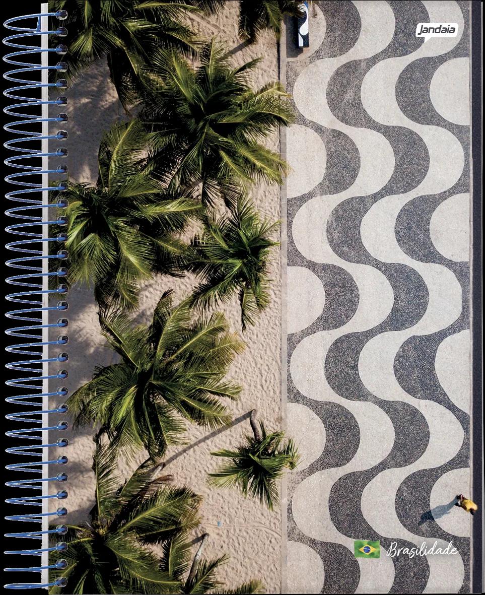 CADERNO ESPIRAL 1/8 CAPA FLEXÍVEL 96 FOLHAS - BRASILIDADE