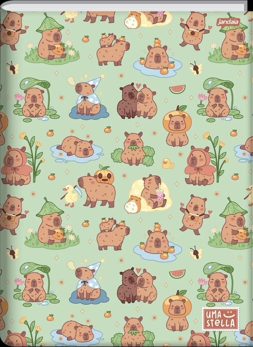 CADERNO BROCHURA UNIVERISTÁRIO CAPA DURA 60 FOLHAS - STELLA