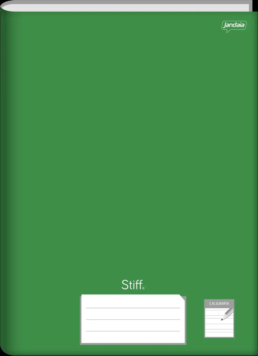 CADERNO BROCHURA CAPA DURA 1/4 CALIGRAFIA VERDE  96 FOLHAS - STIFF
