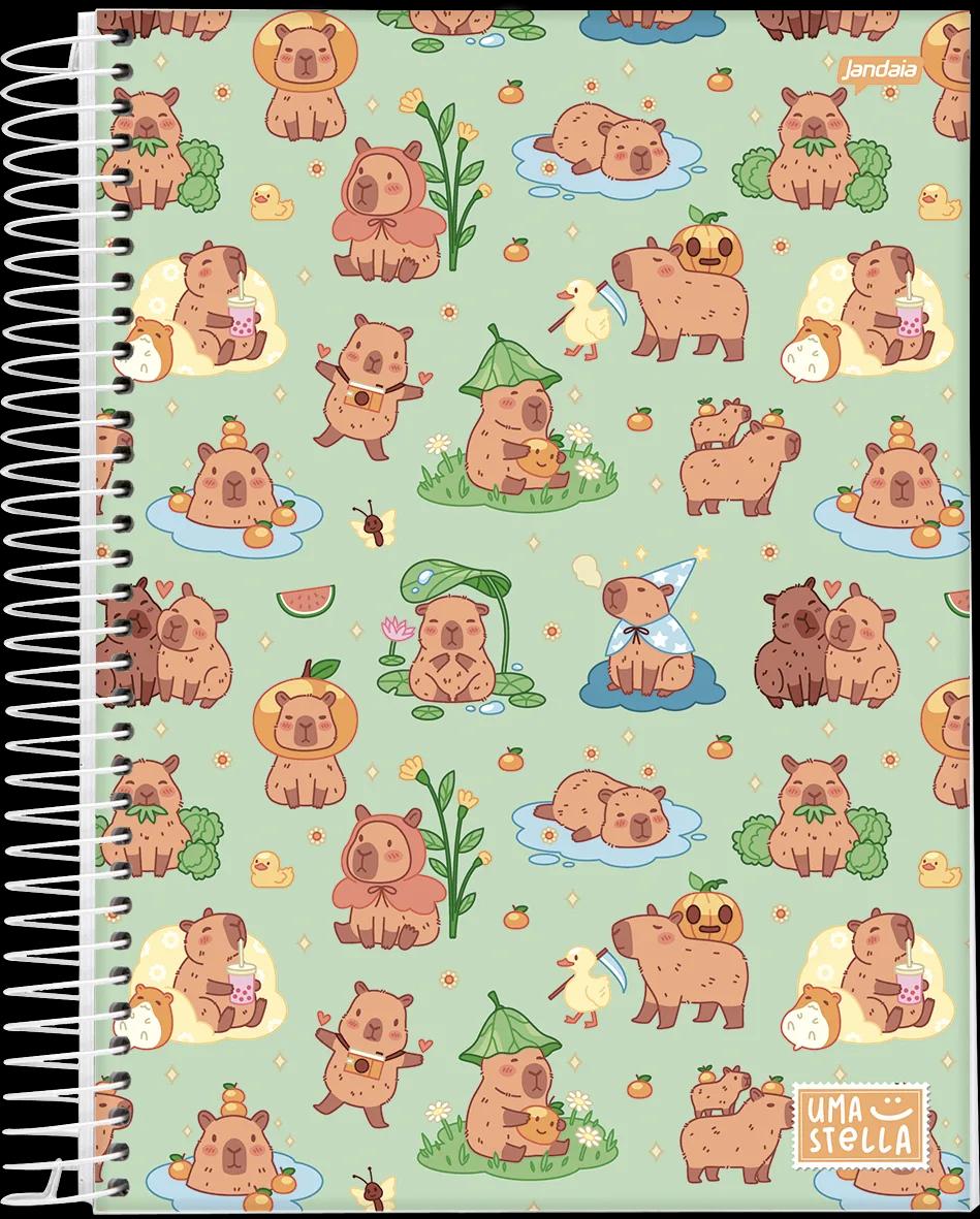 CADERNO ESPIRAL 1/8 CAPA DURA 80 FOLHAS - STELLA