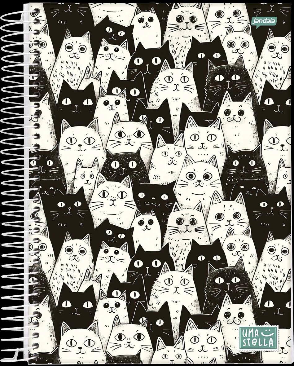 CADERNO ESPIRAL UNIVERSITÁRIO CAPA DURA 25 MATÉRIAS 400 FOLHAS - STELLA